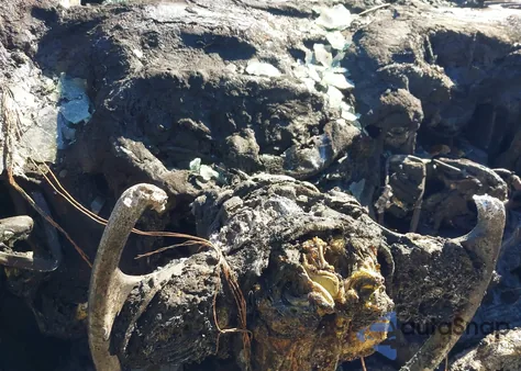 2018 Dodge Durango Sxt Awd from USA, damaged, VIN 1C4RDJAG0JC456514